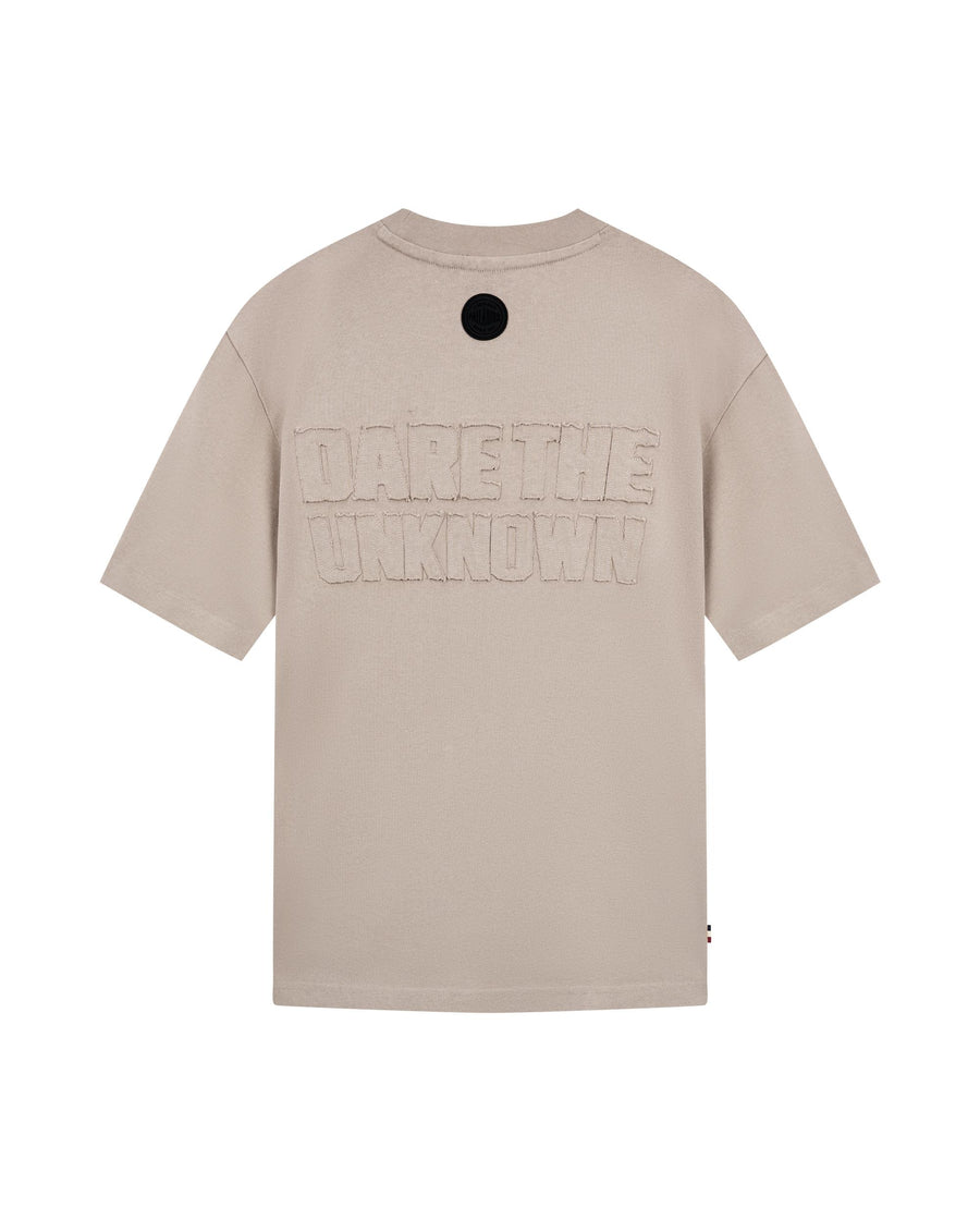 1011327-050 | MEN'S PALLADIUM LOOSE FIT COTTON T-SHIRT | MOON ROCK