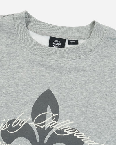 1011897-081 | MEN'S IRIS THEME PRINTED SWEATSHIRT | GREY