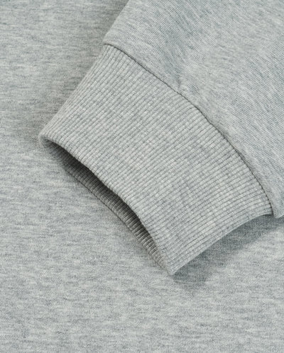 1011897-081 | MEN'S IRIS THEME PRINTED SWEATSHIRT | GREY