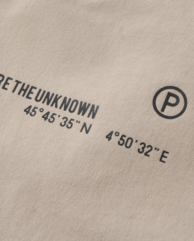 1911400-050 | WOMEN'S PALLADIUM LOGO STRAIGHT PANTS | MOON ROCK